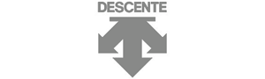 Descente shoe brand logo.