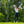 Hannah Gregg Limited Edition Tour Flex Pro